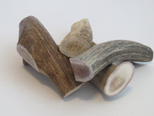 Load image into Gallery viewer, 6" Large Antler