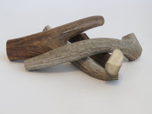 Load image into Gallery viewer, 8" Medium Antler