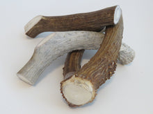 Load image into Gallery viewer, 8" Large Antler