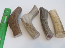 Load image into Gallery viewer, 6" Large Antler
