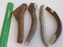 Load image into Gallery viewer, 8" Medium Antler