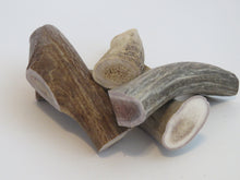 Load image into Gallery viewer, 6&quot; Large Antler

